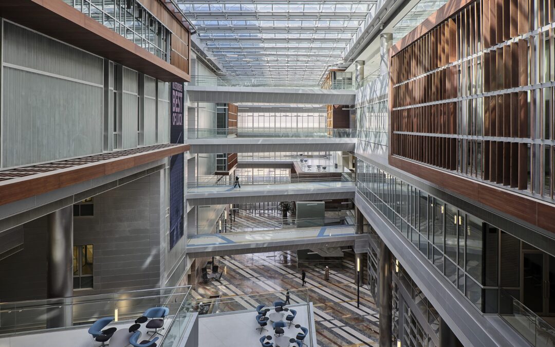 College of Engineering and Petroleum