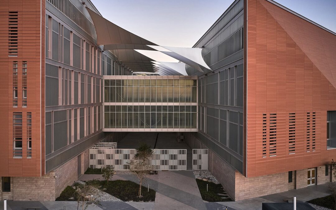 College of Engineering and Petroleum