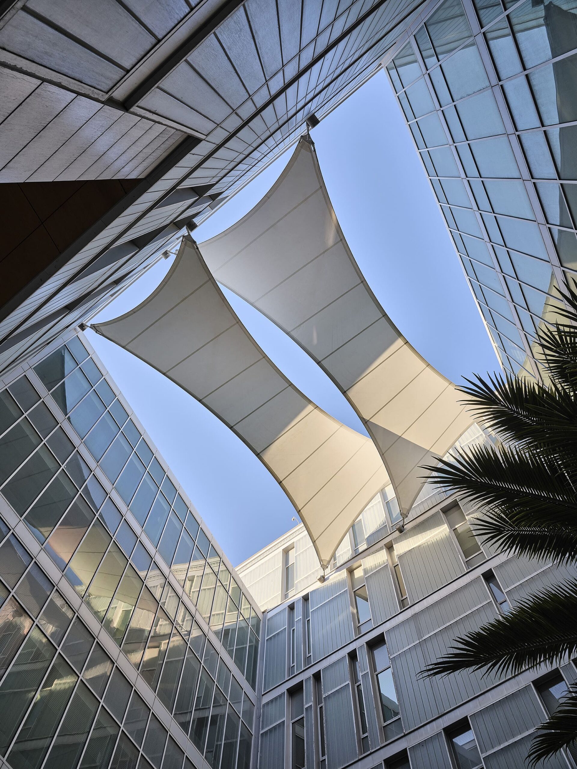College of Engineering and Petroleum