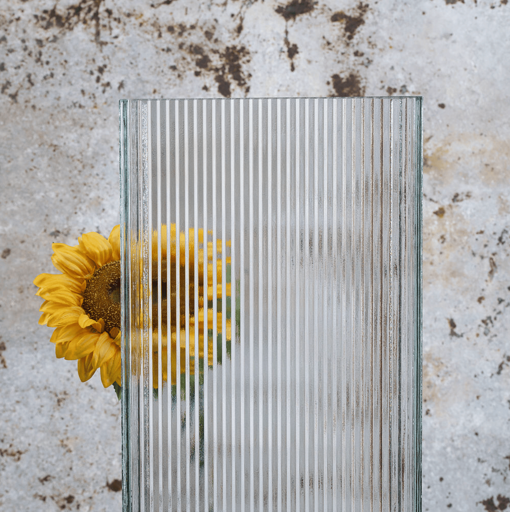 Glass Products Prismasolar