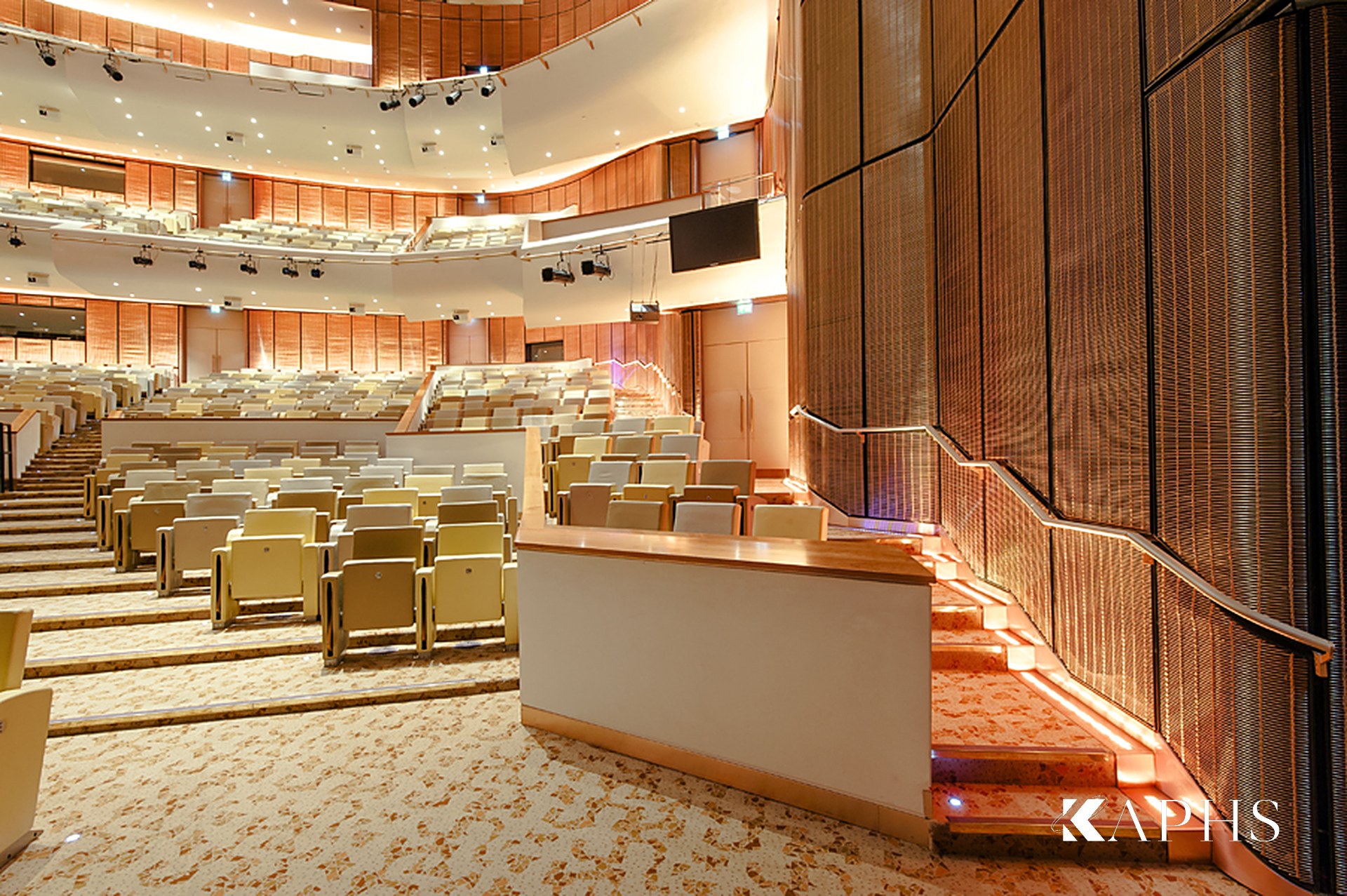 Bronze wire mesh wall in the Qatar National Convention Centre Theatre Hall, Doha — KAPHS